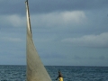 062dsc04462a