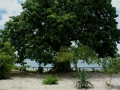 076dsc04538a