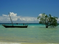 118dsc04676a