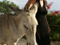 140dsc04782a