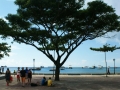 243dsc05304a