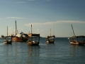 248dsc05318a