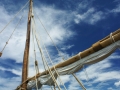 268dsc05425a
