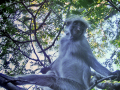 dsc02161