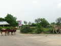 dsc02178