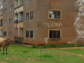 dsc02190