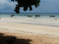 dsc02197