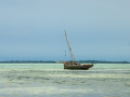 dsc02203