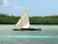 dsc02208