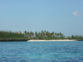 dsc02210