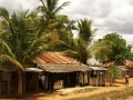 037dsc04335a