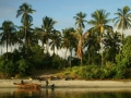 061dsc04461a