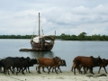 078dsc04550a