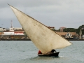 194dsc05112a