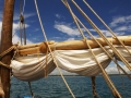 260dsc05384a