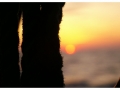 droplet_of_hope_by_bohemianleeway-d5x4u6g