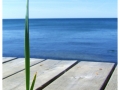 dscf3773a