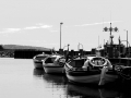 dscf3859
